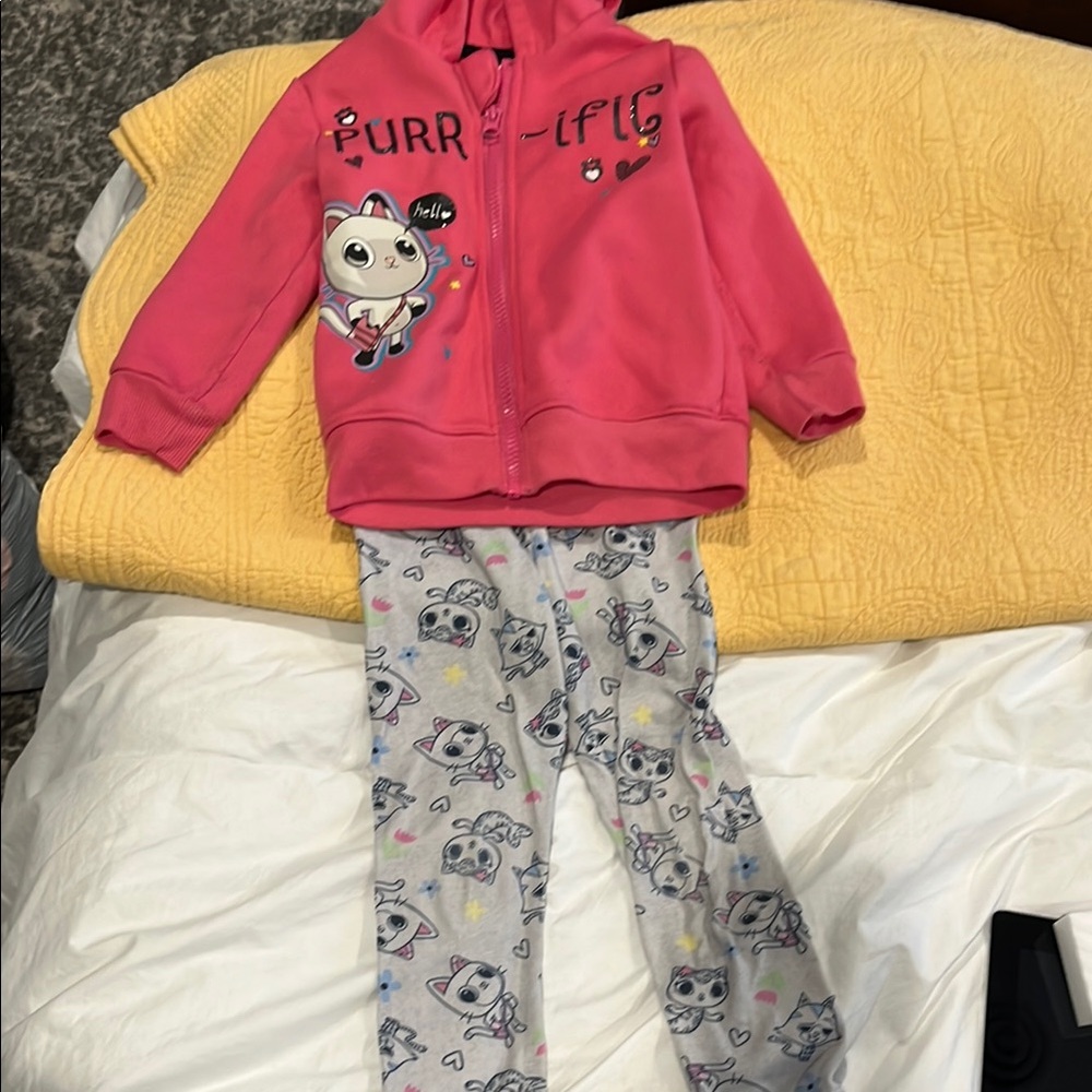 Gabby's Dollhouse Pink Hoodie with pants